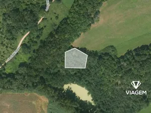 Prodej podílu lesa, Vráž, 768 m2