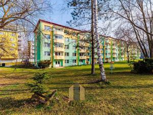 Pronájem bytu 1+1, Jihlava, Telečská, 32 m2