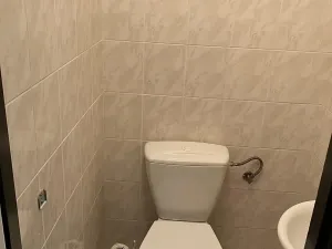 Pronájem rodinného domu, Velká Lečice, 150 m2