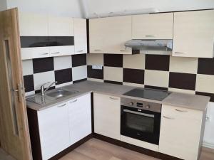 Pronájem bytu 2+kk, Vamberk, Žamberecká, 58 m2