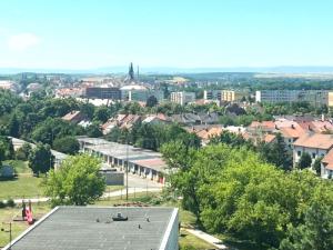 Prodej bytu 1+kk, Louny, Čs. armády, 20 m2