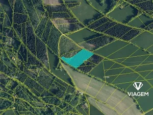 Prodej podílu lesa, Jestřabí v Krkonoších, 790 m2