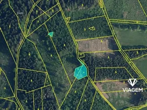 Prodej podílu lesa, Jestřabí v Krkonoších, 790 m2