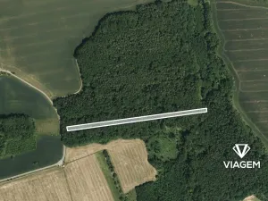 Prodej podílu lesa, Ostrožská Lhota, 652 m2