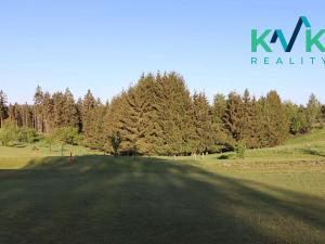 Prodej lesa, Kolová, 8922 m2