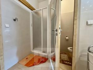 Pronájem bytu 2+kk, Velké Opatovice, Sokolská, 60 m2