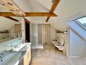 Pronájem bytu 5+kk, Velké Opatovice, Sokolská, 195 m2