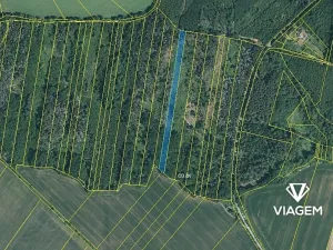Prodej podílu lesa, Lukovany, 5770 m2