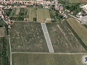 Prodej podílu pole, Dětkovice, 1119 m2