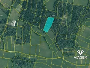Prodej lesa, Budětice, 7622 m2