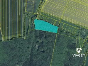 Prodej podílu lesa, Nedachlebice, 862 m2