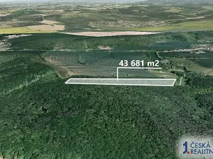 Prodej podílu lesa, Nedachlebice, 939 m2