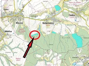 Prodej podílu lesa, Nedachlebice, 939 m2