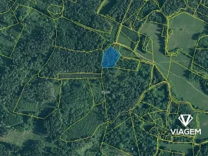 Prodej lesa, Pačejov, 4029 m2