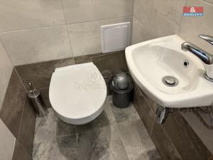 Prodej obchodního prostoru, Pardubice - Bílé Předměstí, Bubeníkova, 55 m2
