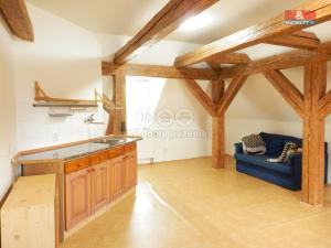 Pronájem bytu 1+kk, Soutice, 40 m2