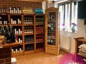 Pronájem obchodního prostoru, Olomouc, Karolíny Světlé, 55 m2