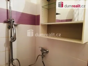 Pronájem bytu 1+kk, Tachov, Bělojarská, 17 m2