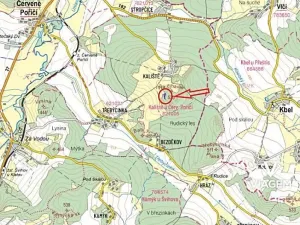 Prodej lesa, Švihov, 2192 m2