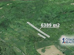 Prodej podílu lesa, Zubrnice, 1558 m2