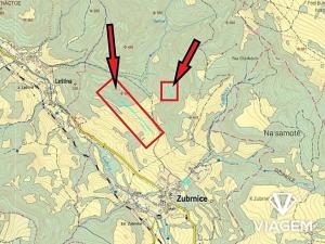 Prodej podílu lesa, Zubrnice, 1558 m2