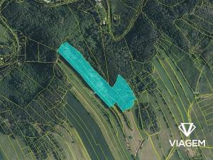 Prodej podílu lesa, Kuřimská Nová Ves, 5047 m2