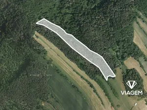 Prodej podílu lesa, Kuřimská Nová Ves, 3121 m2