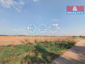 Prodej pozemku pro bydlení, Droužkovice, 9198 m2