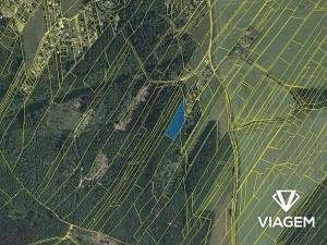 Prodej lesa, Česká Třebová, 3842 m2