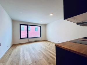Pronájem bytu 1+kk, Praha - Holešovice, U průhonu, 35 m2