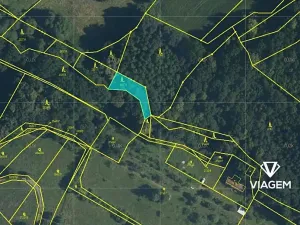 Prodej podílu lesa, Vizovice, 227 m2