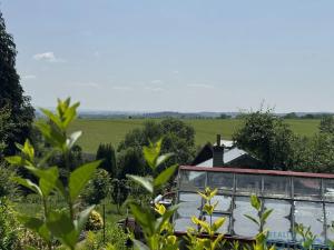 Prodej zahrady, Vysoké Mýto, 418 m2