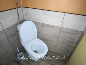 Prodej zemědělské usedlosti, Sobětuchy, 200 m2