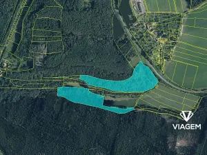 Prodej podílu lesa, Horka, 10920 m2