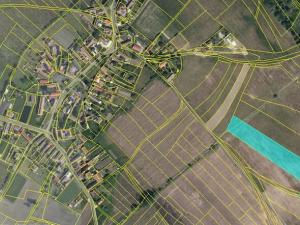 Prodej louky, Horušice, 37549 m2