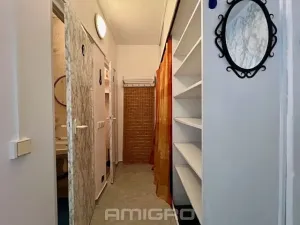 Pronájem bytu 1+1, Brno, Loosova, 36 m2