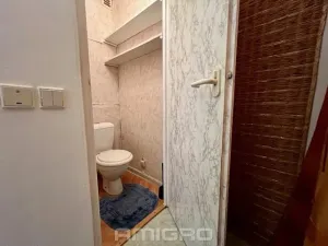 Pronájem bytu 1+1, Brno, Loosova, 36 m2
