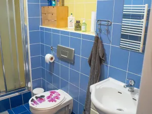 Pronájem bytu 2+1, Děčín, Na Stráni, 52 m2