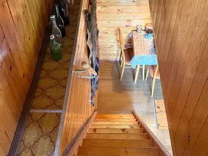 Prodej chaty, Jemnice, 40 m2