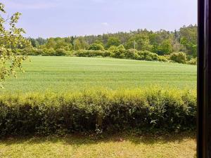 Prodej chaty, Jemnice, 40 m2