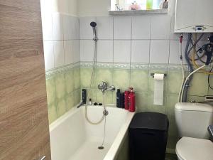 Pronájem bytu 1+1, Ostrava - Heřmanice, Parcelní, 45 m2