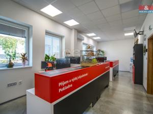 Prodej skladu, Ostrava, Karla Líby, 1016 m2