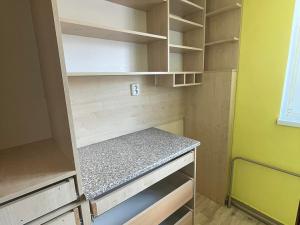 Pronájem bytu 1+kk, Ostrava - Mariánské Hory, Závišova, 16 m2