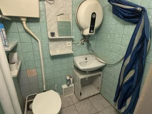 Pronájem bytu 1+kk, Ostrava - Mariánské Hory, Závišova, 16 m2