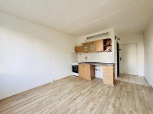 Pronájem bytu 1+1, Chomutov, Zadní Vinohrady, 36 m2