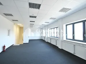 Pronájem skladu, Praha - Letňany, Toužimská, 500 m2