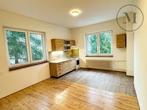 Pronájem bytu 2+kk, Netolice, Hornická, 50 m2