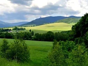 Prodej komerčního pozemku, Králíky, 12500 m2