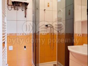 Pronájem bytu 1+1, Hradec Králové, Bidlova, 45 m2