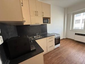 Pronájem bytu 1+1, Brno, Mlýnská, 38 m2